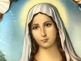 Vintage Virgin Mary Seashell Shrine Wall Hanging, Religious Christian  Decor, Folk Art Kitsch, Bubble Glass, Made in Italy