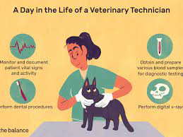 The veterinary assistant assists with animal restraint, housekeeping, client communication, treatments and surgeries. Veterinary Technician Job Description Salary Skills More
