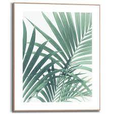 We did not find results for: Palm Tree Leaf Framed In Wood 40x50 Orangewallz