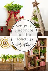 5 Ways To Decorate For The Holidays With Plants Stacy Risenmay Whimsical Christmas Decor Christmas Decor Diy Christmas Crafts Decorations