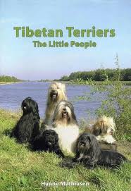 Beautiful black and white tibetan terrier puppies available. Tibetan Terrier Puppies For Sale Adoptapet Com