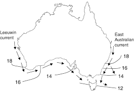 North america, caribbean, central america. Marine Biogeography Of Southern Australia Phylogeographical Structure In A Temperate Sea Star Waters 2003 Journal Of Biogeography Wiley Online Library