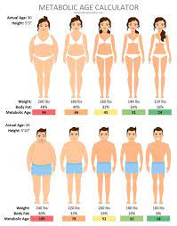 Metabolic Age Calculator 7 Simple Steps To Lower Metabolic Age