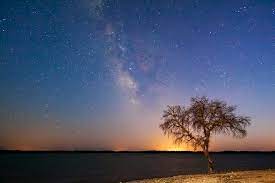 Alqueva´s dark sky reserve | by year: Dark Sky Alqueva Reserve