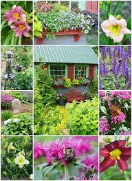 Check spelling or type a new query. Window Boxes Flowers Around The Potting Shed Home Is Where The Boat Is