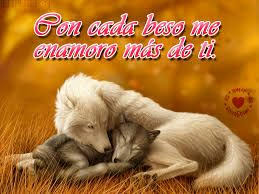 Resultado De Imagen Para Lobos Frases Frases De Lobos Lobos Enamorados Amor De Lobo