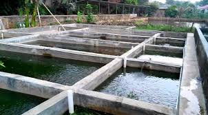 .struktur kolam renang yang dinggap remeh dan tida sesuai dengan struktur konstruksi kolam dalam beberapa tahun ini dari 2016 ke 2018 perkembangan konstruksi kolam renang sangatlah. Konstruksi Kolam Ikan