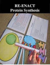 Biomedical engineers study which specific dna sequences code for certain characteristics as they investigate genetic disorders such as color blindness after this activity, students should be able to: 41 Best Genetics Dna Activities Ideas Dna Activities Teaching Science Science Classroom