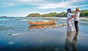 Check spelling or type a new query. 38 Tempat Wisata Di Lombok Lengkap Dengan Tips Saat Berkunjung