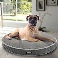 When i bring home a dog bed from costco, my dogs always try to scramble into the bed before i can even get it inside the house. Costco Dog Bed Kijiji Buy Sell Save With Canada S 1 Local Classifieds