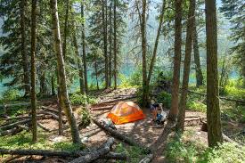 Glacier national park, through a publicly involved environmental impact statement, was recommended for inclusion in the national wilderness preservation system in 1974. Glacier National Park Backpacking Guide Cleverhiker