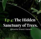 Tune into this episode to witness how rare and endangered plant saplings  journey from the tissue culture lab to the fields. Also, discover the steps  taken to prepare them for plantation at ...