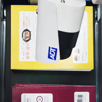 The Day Li Lizard Felt Brave: A Care-Fort Adventure