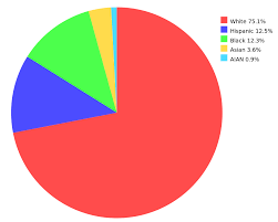 File Race In America Svg Wikimedia Commons