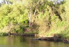 We did not find results for: California State Parks Search