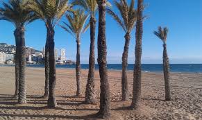 Mai multi moldoveni, stabiliti in spania, sunt nemultumiti c. Levante Beach January Bilde Av Benidorm I Costa Blanca Tripadvisor