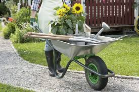The Big Flower Fight Netflix Plants Seeds For Major Unscripted Competition Format From Itv S Multistory Media Big Flowers Planting Seeds Flower Installation