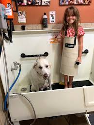Последние твиты от earthwise pet supply (@earthwisepetsd). We Love It When Every Family Member Earthwise Pet Supply Southlake Facebook