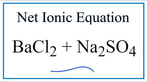 Maybe you would like to learn more about one of these? How To Write The Net Ionic Equation For Bacl2 Na2so4 Baso4 Nacl Youtube