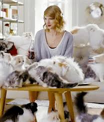 Cats wearing clothes 26166 gifs. Embracing Your Inner Cat Lady Can Make You A Better Girlfriend Glamour