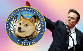 Elon Musk quitte DOGE sur un bilan calamiteux : c'est un désastre pour les  États-Unis