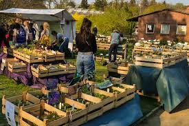 Visit often since we add more templates throughout the year. Staudengartnerei Gaissmayer Berliner Staudenmarkt Im Botanischen Garten