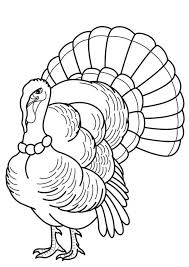 Wild Turkey Coloring Pages Animal Coloring Pages Turkey Coloring Pages Thanksgiving Coloring Pages