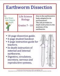 Earthworm Dissection Phylum Annelida Teaching Science Teaching Biology Science Education