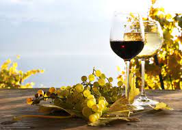 Download Wallpaper Grapes Foliage Vineyards White Free Desktop Wallpaper In The Resolution 6400x4570 Picture 578240 Wine Tasting Red Wine Wine