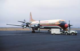 Image result for Orange 1984 Fleet