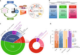 Soft tissue cancer (sarcoma) melanoma of the skin. Characterization Of The Genomic Landscape And Actionable Mutations In Chinese Breast Cancers By Clinical Sequencing Nature Communications
