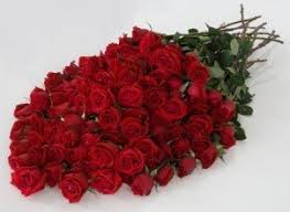 See more ideas about 100 roses, beautiful flowers, flowers bouquet. 100 Roses Red Fresh Cut Flowers 100 Long Stem Red Roses Buy Online In Sweden At Sweden Desertcart Com Productid 25129267