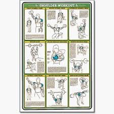 Fitness And Weightlifting Charts Fitnus Chart Shoulder