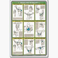 fitness and weightlifting charts fitnus chart shoulder