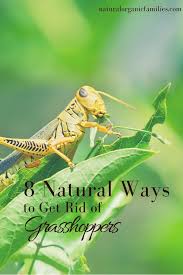 Maybe you would like to learn more about one of these? Pin On Country Living