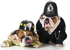 How To Become An Animal Cop | How To Become An Animal Control Officer