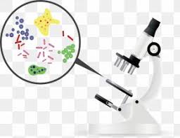 Microbiology Images Microbiology Transparent Png Free Download Free microbiology vector download in ai, svg, eps and cdr.