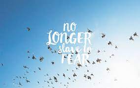 設計design free download 01 wallpapers 看著螢幕就被鼓勵了 h e r n a m e i s s h i n lifestyle fashion cats food photography wallpaper i wallpaper designer wallpaper