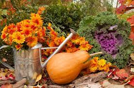 Many of your plants will not survive a frost, so they need to be harvested before a frost hits. What To Do In The Garden In October Birkacre Garden Centre