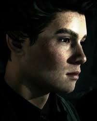 Garreth Weasley Sebastian