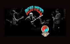 Dead Meat - An electrifying tribute to The Grateful Dead