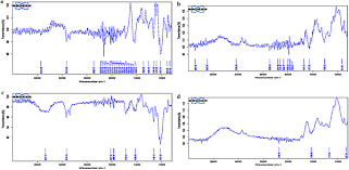 Image result for Halopyrum mucronatum