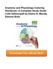 Anatomy and physiology coloring workbook: Human Anatomy And Physiology 11th Editio Download Pdf Human Anatomy Physiology 11th Edition By Elaine N Marieb Katja Hoehn Book File Download Pdf Course Hero