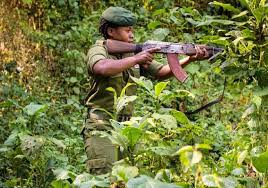 Sin embargo, lo que más limita la libertad de prensa en rusia es el hecho de que las principales televisiones y grupos mediáticos están en manos de monopolios y. Extincion Especies Las Guardabosques De La Republica Democratica Del Congo Luchan Por Salvar A Los Ultimos Gorilas De Montana Planeta Futuro El Pais