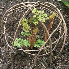 25 Cheap And Easy Diy Home And Garden Projects With Sticks And Branches Diy Decorative Garden Weidenflec In 2020 Diy Garden Projects Garden Projects Branches Diy