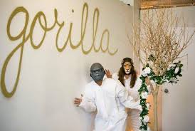 A male silverback gorilla against a lion? Lion Vs Gorilla Home Facebook