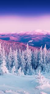 Winter Wallpaper Hd Iphone Xr