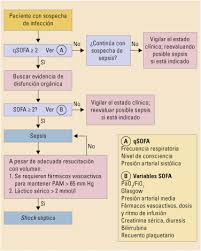 Una septicemia que provoque una presión arterial peligrosamente baja (choque o shock) recibe el nombre de choque séptico. Bacteriemia Sepsis Y Shock Septico Sciencedirect