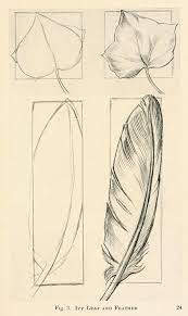 Pin On Drawing