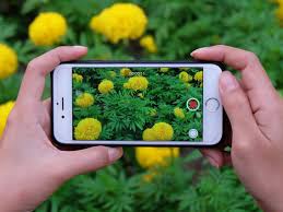 Once installed, move to ios will transfer calendars, contacts, email. How To Send Video From An Iphone To An Android In 3 Ways Business Insider